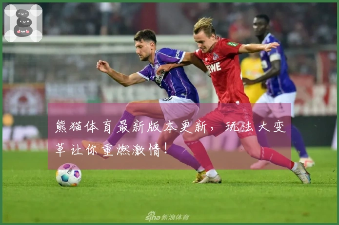 熊猫体育最新版本更新，玩法大变革让你重燃激情！