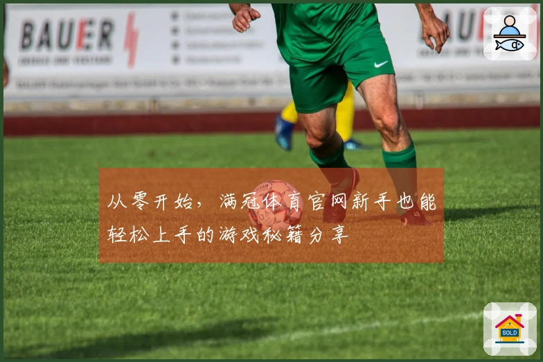 从零开始，满冠体育官网新手也能轻松上手的游戏秘籍分享