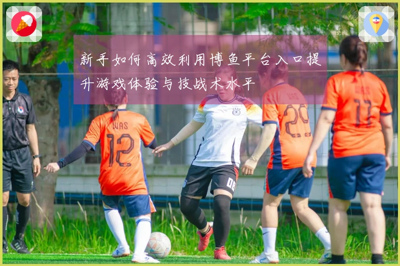 新手如何高效利用博鱼平台入口提升游戏体验与技战术水平