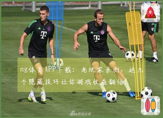 ng体育APP下载：老玩家亲测，这几个隐藏技巧让你游戏收益翻倍！