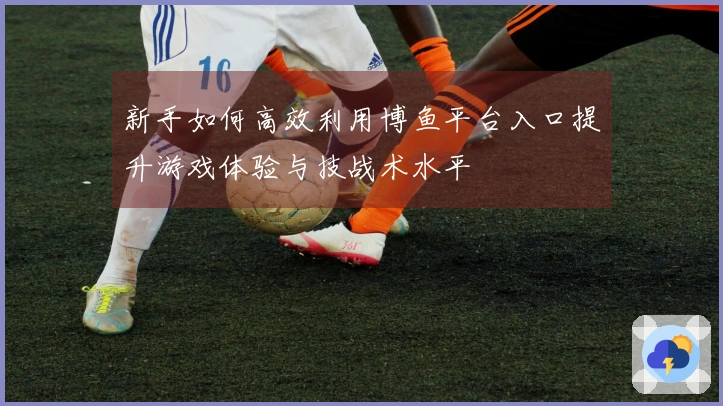 新手如何高效利用博鱼平台入口提升游戏体验与技战术水平