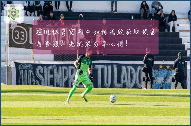 在ng体育官网中如何高效获取装备与资源？老玩家分享心得！