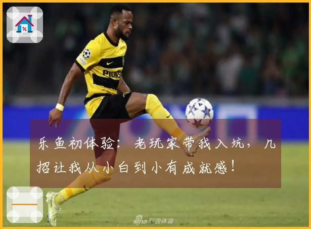 乐鱼初体验：老玩家带我入坑，几招让我从小白到小有成就感！